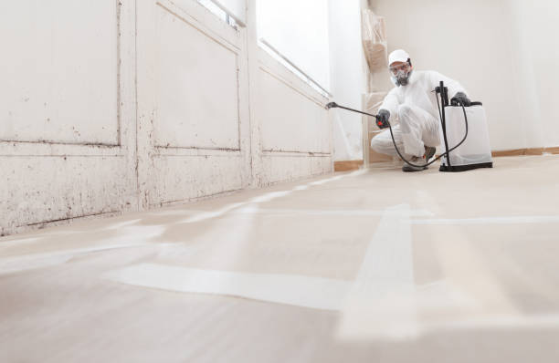24/7 Emergency Crawl Space Mold Removal experts in Warren, NJ