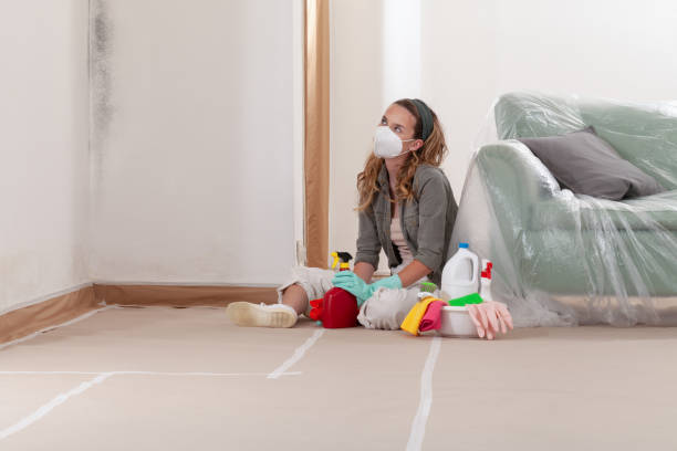 Reliable Crawl Space Mold Removal contractor in Warren, NJ by WQB Mold Removal