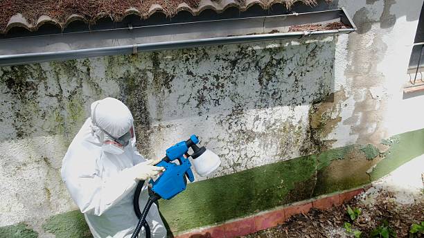 Top rated local Crawl Space Mold Removal specialists in Warren, NJ